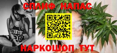 амф Камень-на-Оби